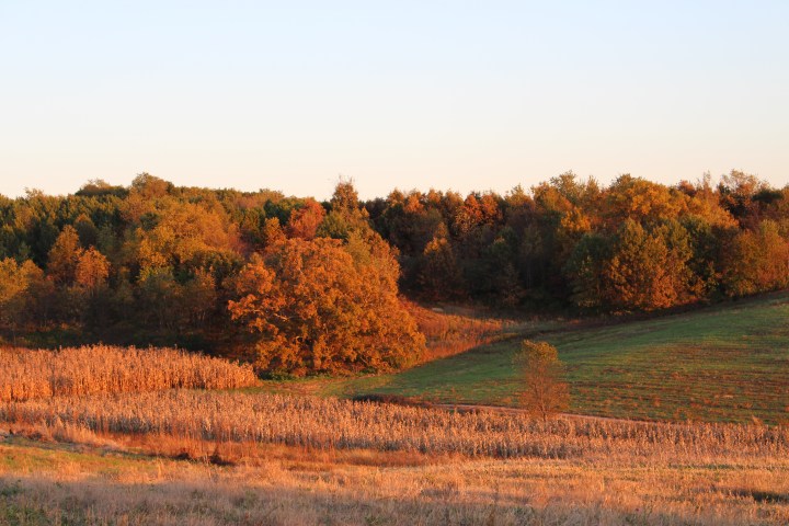 Gathering our Harvests