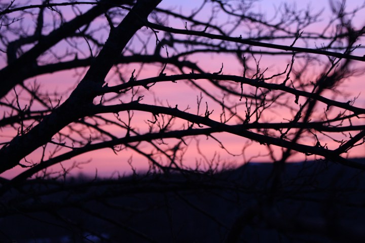 Book Review: Druid Mysteries by Philip&nbsp;Carr-Gomm