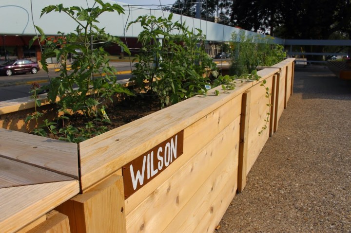 The Mindset of a&nbsp;Gardener