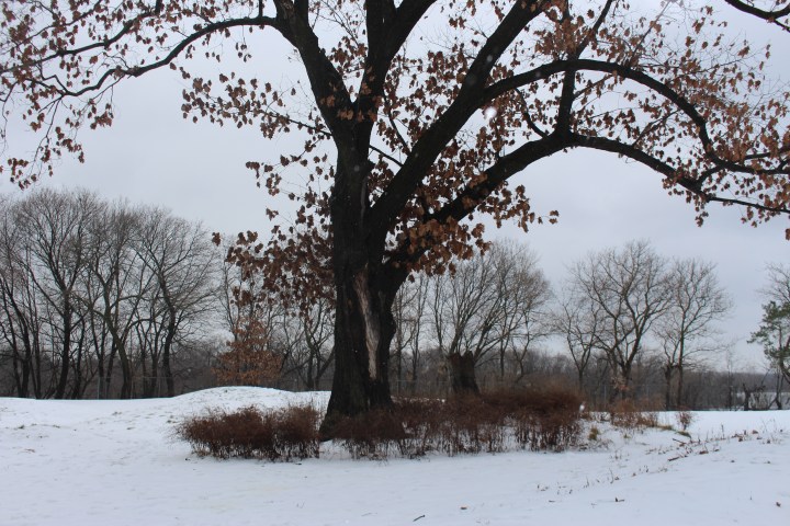 Spring is on its&nbsp;Way?