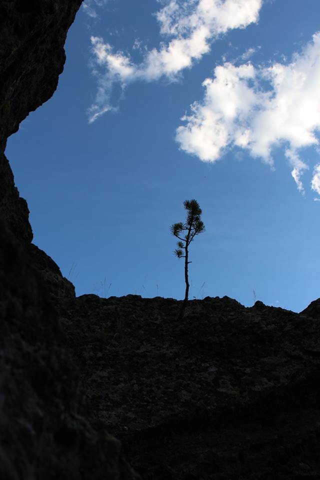 How To Pay for the Life you&nbsp;Want