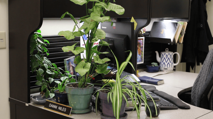 Creating a Sacred Space at&nbsp;Work