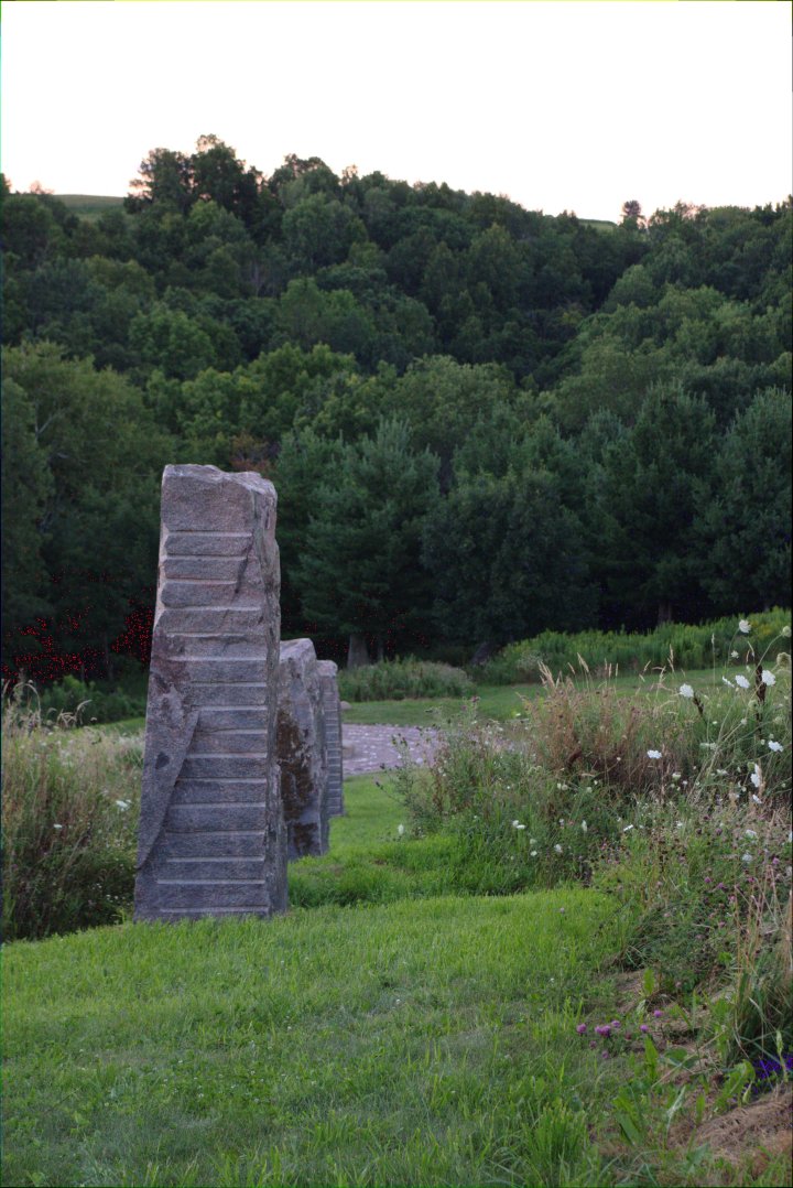 Anima Monday Interview