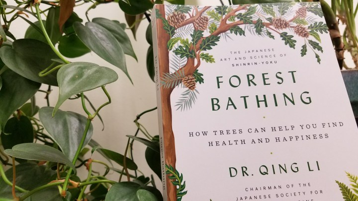 Forest Bathing by Dr. Quing&nbsp;Li
