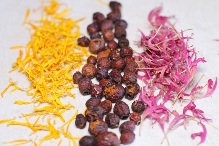 Political Magic: Power Found in Calendula, Hawthorn, Bee&nbsp;Balm