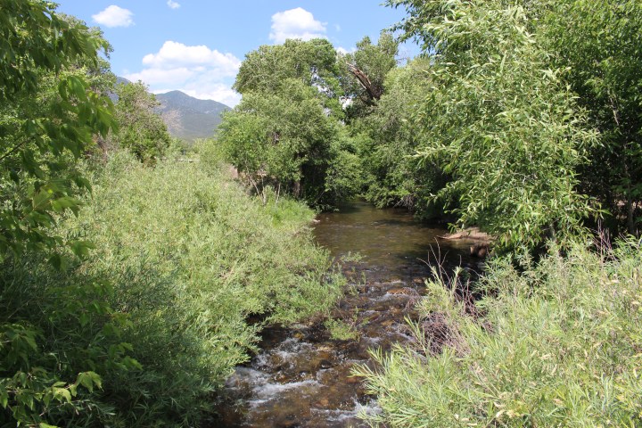 Pagan Guided Meditations by Yucca&nbsp;Oldoitter