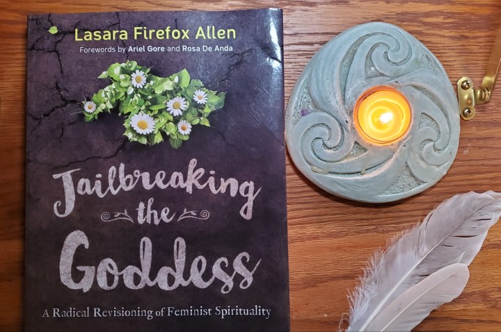Jailbreaking the Goddess by Lasara Fierfox&nbsp;Allen
