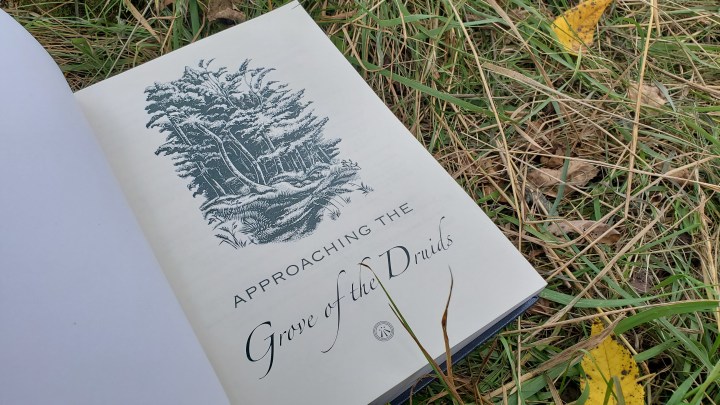 Review of the OBOD Druid&nbsp;Grade