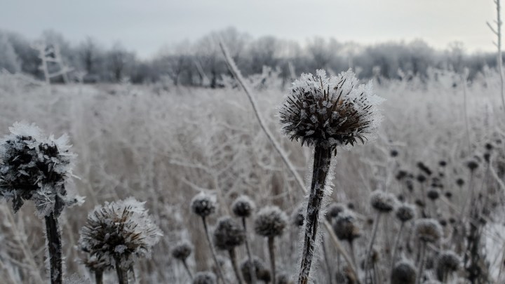 Inviting the Gods&nbsp;in