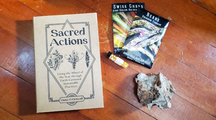 Sacred Actions by Dana O’Driscoll